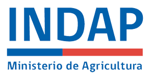 INDAP-LOGO.png